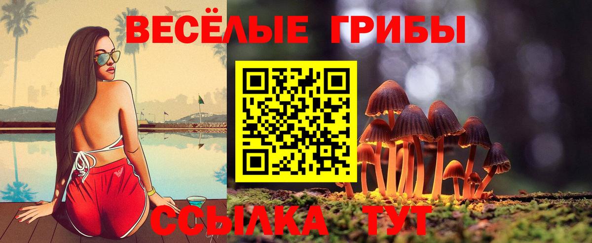 Галлюциногенные грибы ЛСД Таганрог